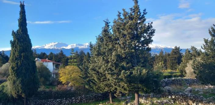 Image No.42-4 Bed Villa for sale