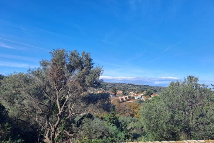 Image No.46-Maison de 2 chambres à vendre à Vamos