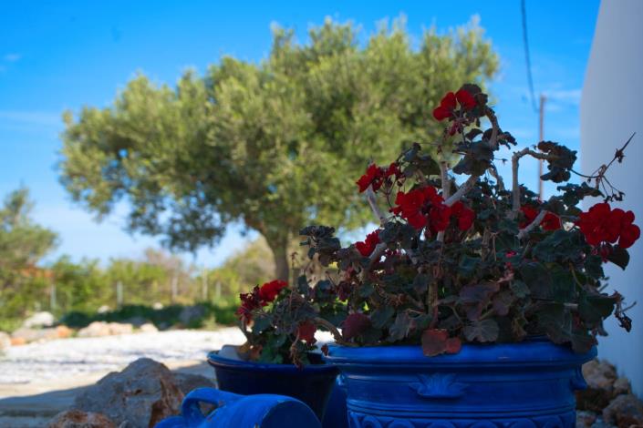 Image No.22-2 Bed Villa for sale