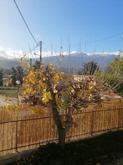 Image No.35-Maison de 3 chambres à vendre à Georgioupoli