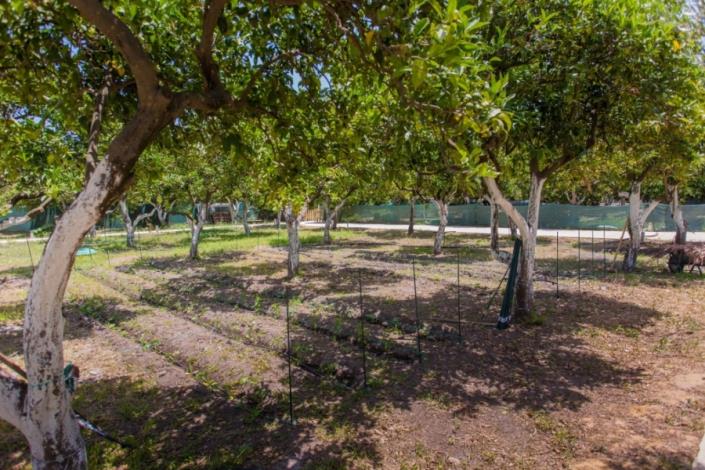 Image No.19-4 Bed Apartment for sale