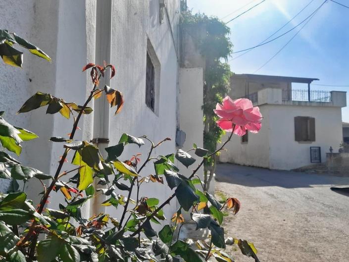Image No.29-1 Bed House for sale