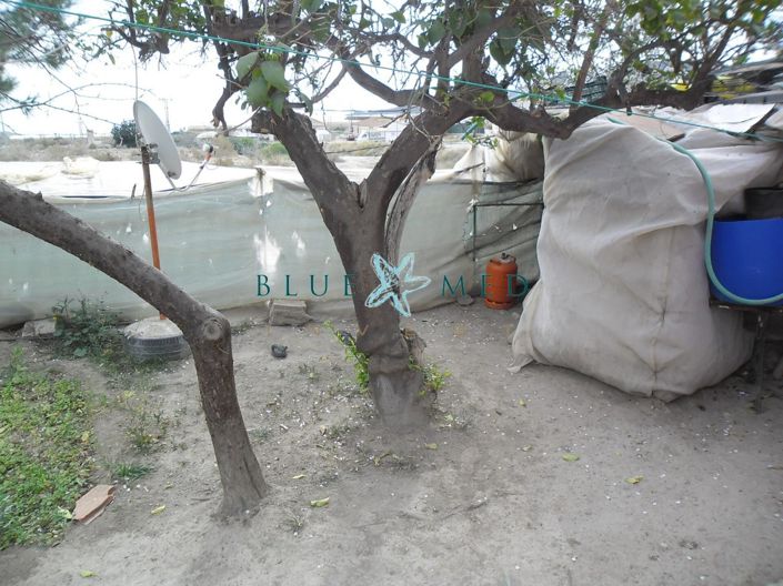 Image No.10-10 Bed Country House for sale