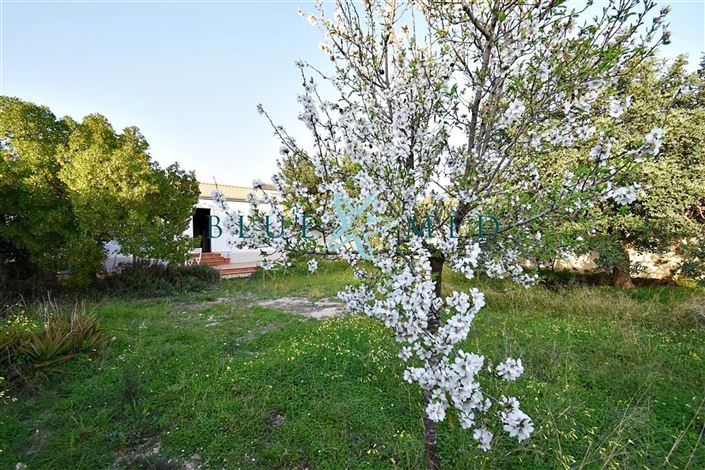 Image No.27-3 Bed Country House for sale