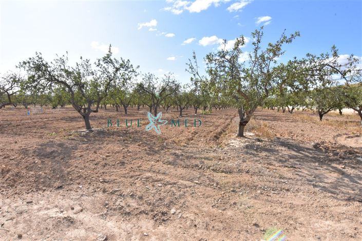 Image No.12-8 Bed Country House for sale