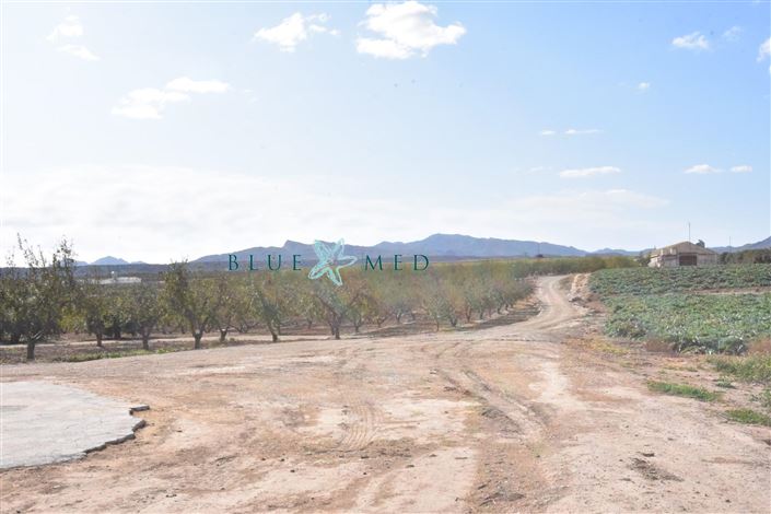 Image No.15-8 Bed Country House for sale