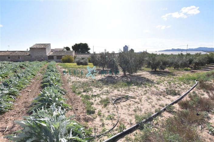 Image No.18-8 Bed Country House for sale