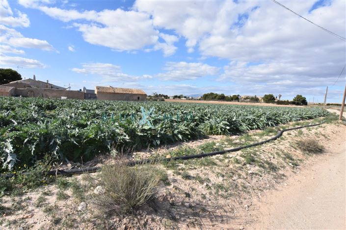 Image No.19-8 Bed Country House for sale