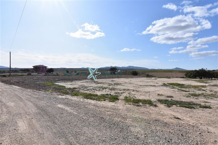 Image No.23-8 Bed Country House for sale