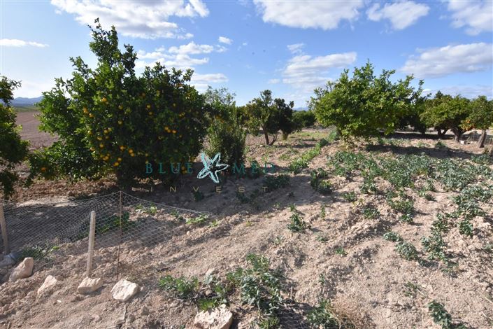 Image No.28-8 Bed Country House for sale