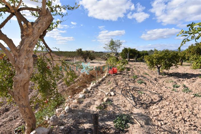 Image No.29-8 Bed Country House for sale