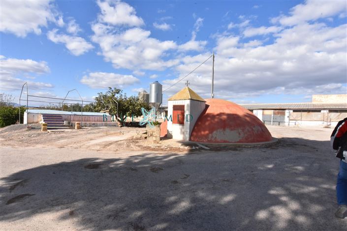 Image No.32-8 Bed Country House for sale