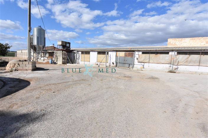 Image No.36-8 Bed Country House for sale