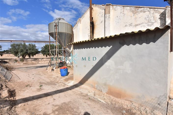 Image No.38-8 Bed Country House for sale