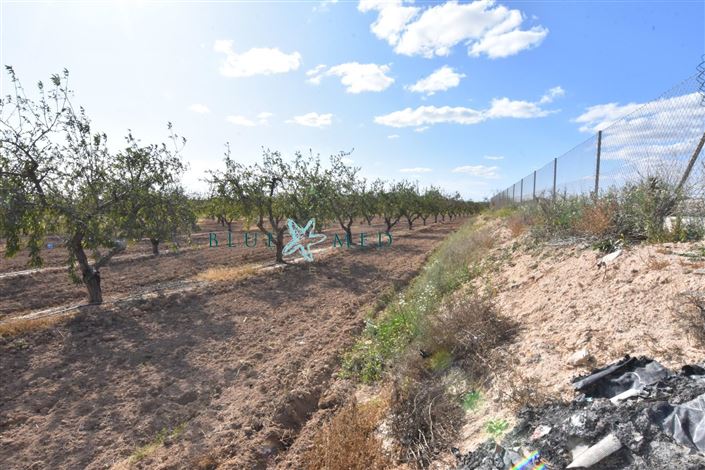 Image No.8-8 Bed Country House for sale