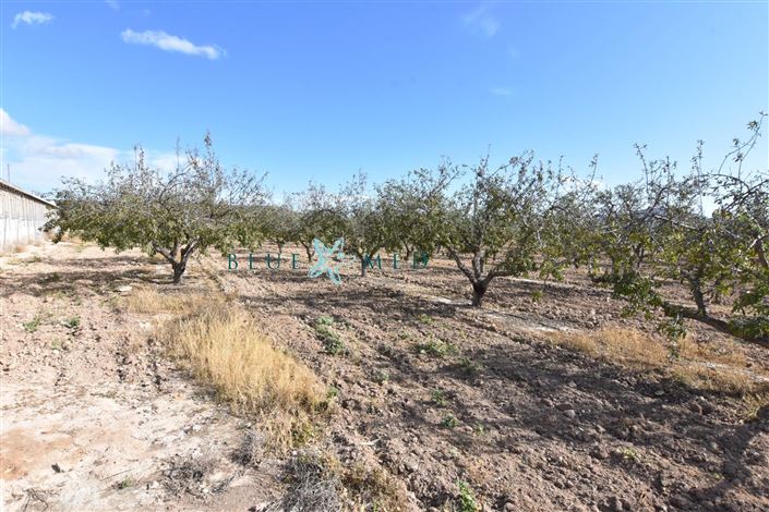 Image No.9-8 Bed Country House for sale