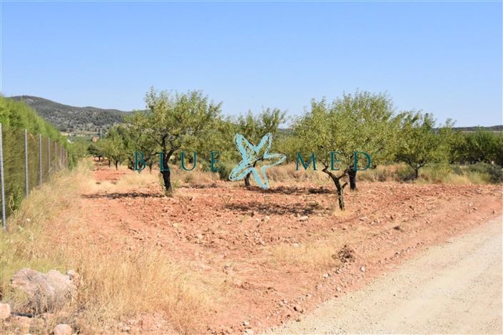 Image No.44-Villa de 2 chambres à vendre à Bullas