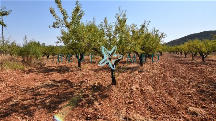 Image No.48-Villa de 2 chambres à vendre à Bullas