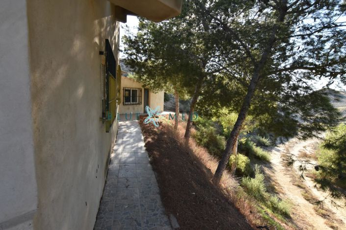 Image No.43-3 Bed Country House for sale