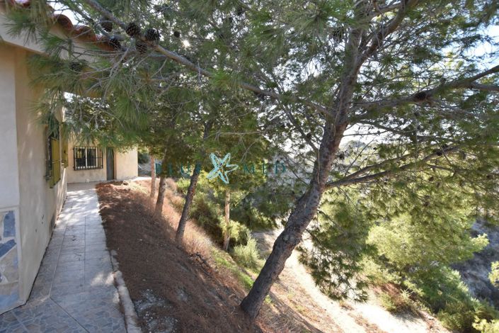 Image No.6-3 Bed Country House for sale