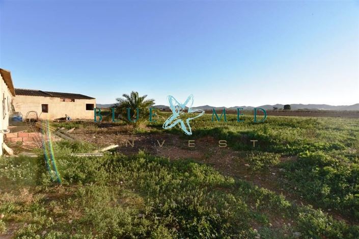 Image No.18-Maison de campagne de 6 chambres à vendre à Las Palas