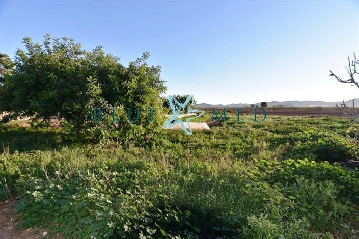 Image No.19-Maison de campagne de 6 chambres à vendre à Las Palas