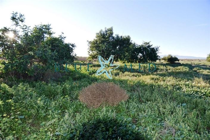 Image No.20-Maison de campagne de 6 chambres à vendre à Las Palas