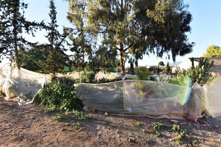 Image No.26-Maison de campagne de 6 chambres à vendre à Las Palas