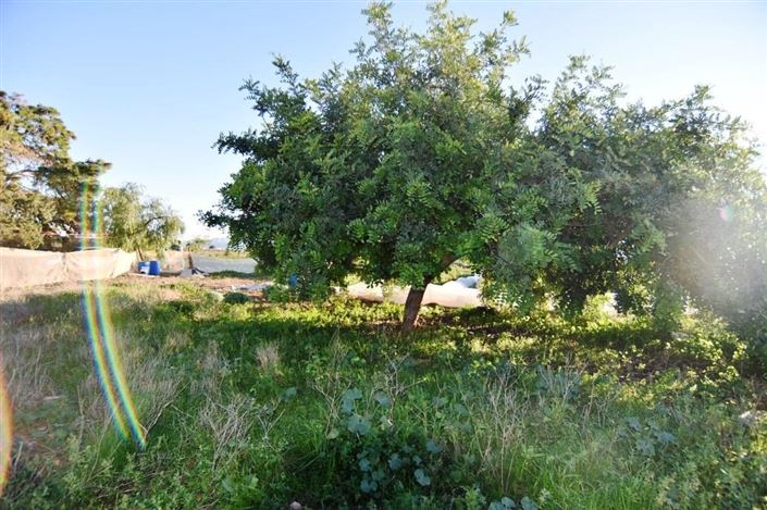 Image No.29-Maison de campagne de 6 chambres à vendre à Las Palas