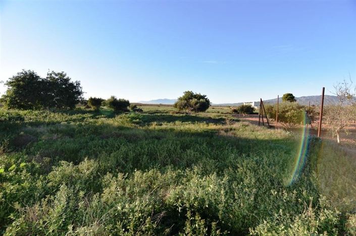 Image No.33-Maison de campagne de 6 chambres à vendre à Las Palas
