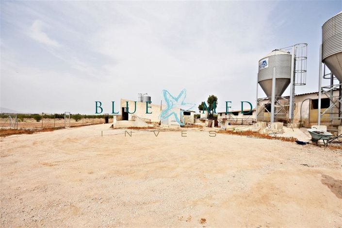 Image No.14-Maison de 3 chambres à vendre à Pareton