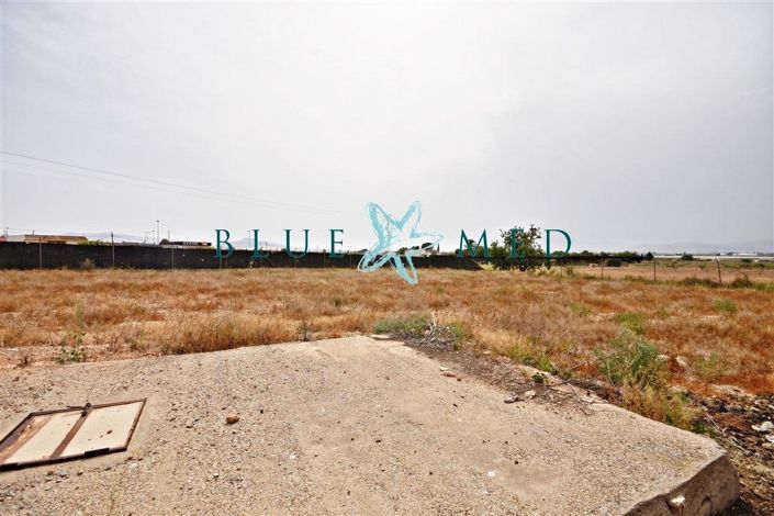 Image No.15-Maison de 3 chambres à vendre à Pareton