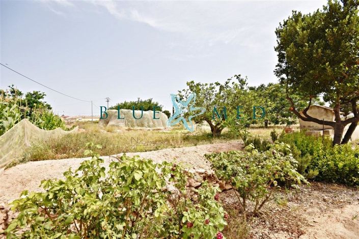 Image No.18-Maison de 3 chambres à vendre à Pareton