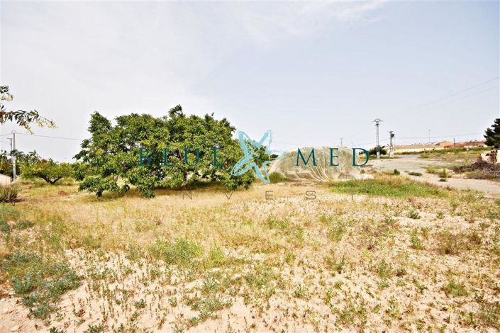 Image No.20-Maison de 3 chambres à vendre à Pareton