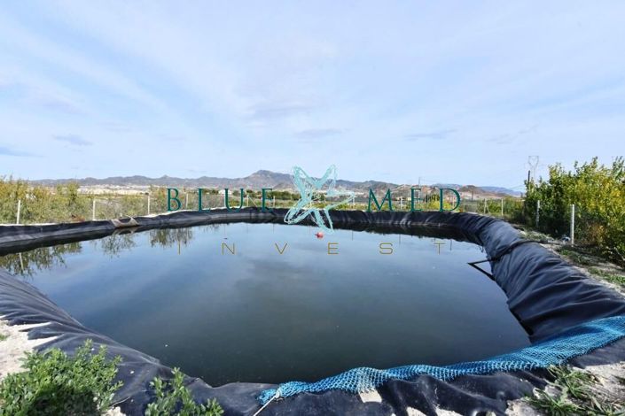 Image No.31-4 Bed Country House for sale