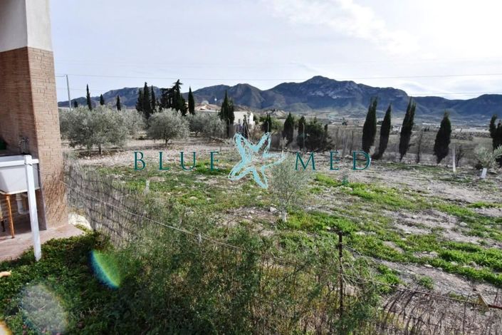 Image No.4-4 Bed Country House for sale