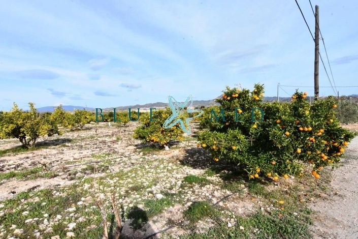 Image No.5-4 Bed Country House for sale