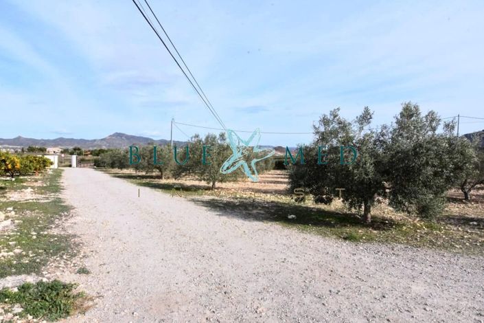 Image No.6-4 Bed Country House for sale