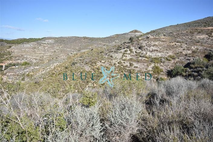 Image No.25-Property for sale