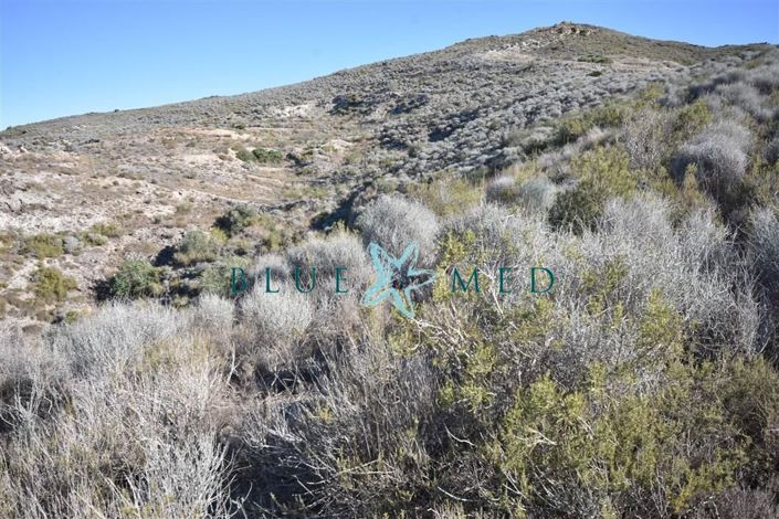 Image No.27-Property for sale