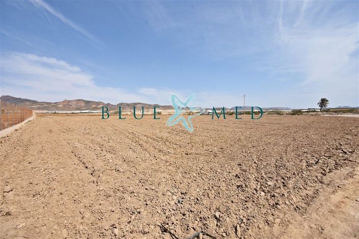 Image No.2-Property for sale