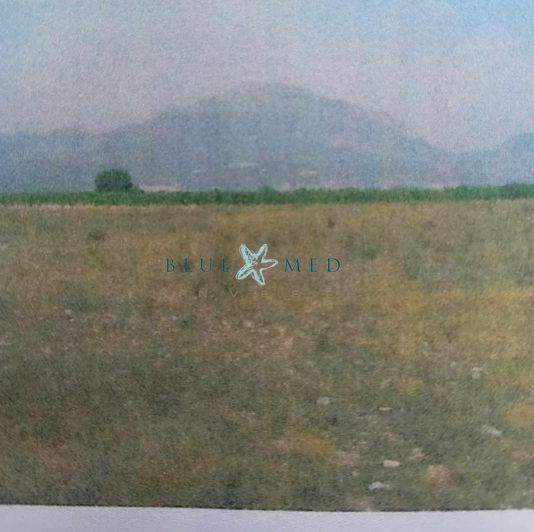 Image No.3-Property for sale