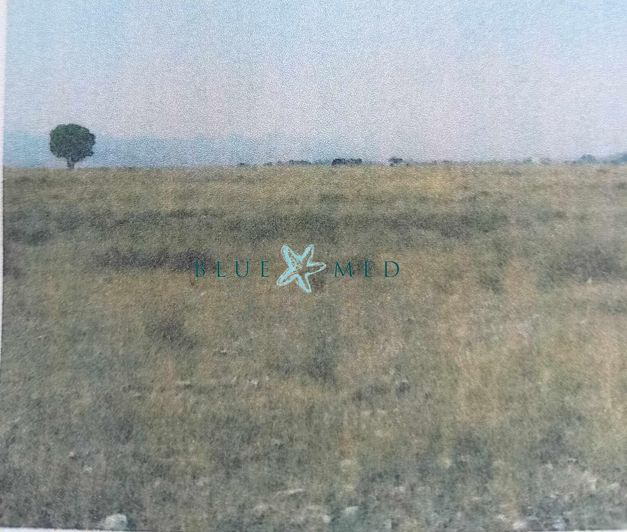 Image No.4-Property for sale