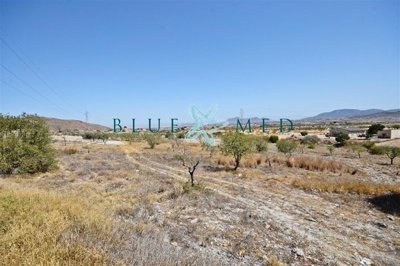 Blue Med Invest most sold property