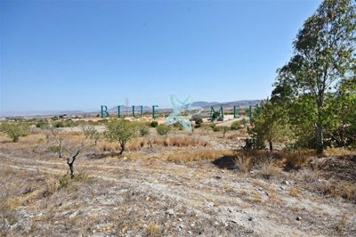 Blue Med Invest most sold property