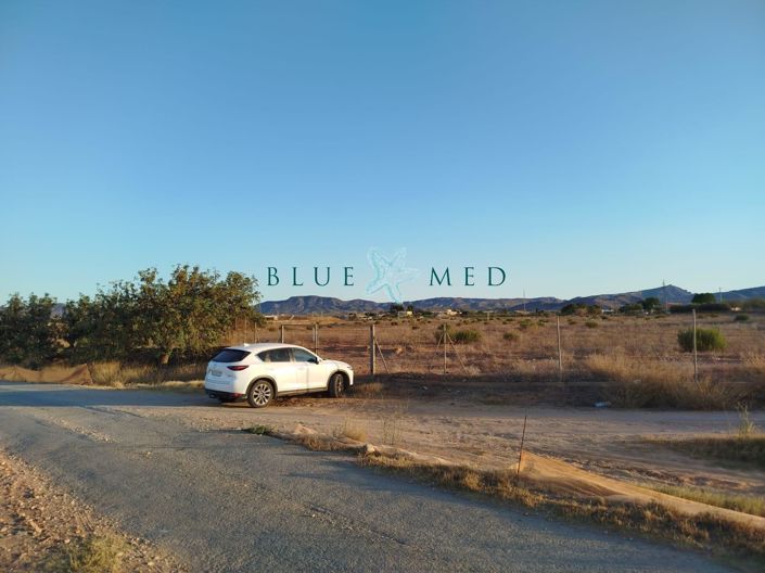 Image No.2-Property for sale