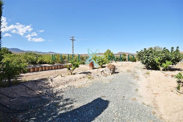 Image No.44-Villa de 4 chambres à vendre à Totana