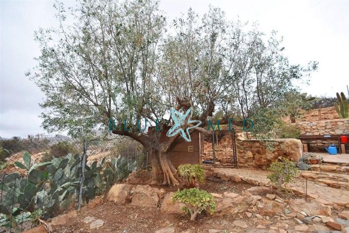 Image No.44-3 Bed Villa for sale