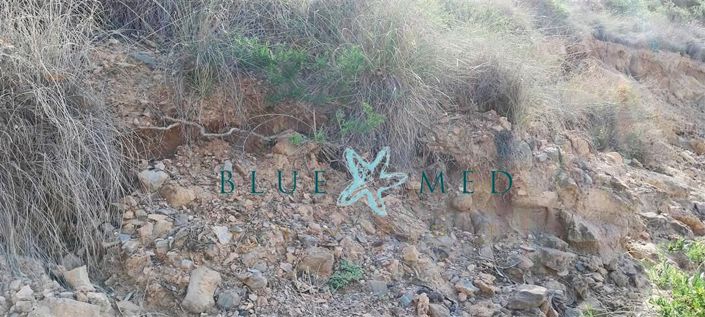 Image No.14-Property for sale