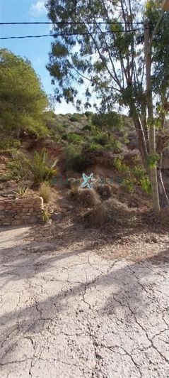 Image No.7-Property for sale